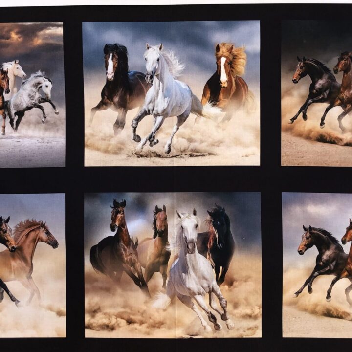 Brumbies - Runaway Brumbies Panel