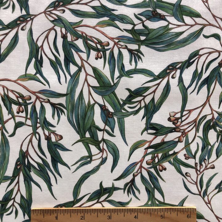 Burrangong Birdlife - Eucalyptus Leaves White