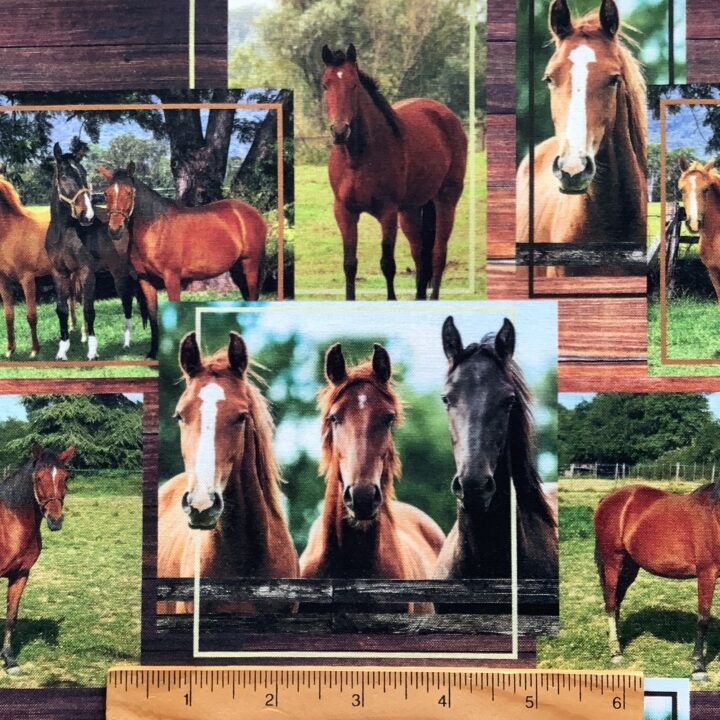 Horse Trio - All Over