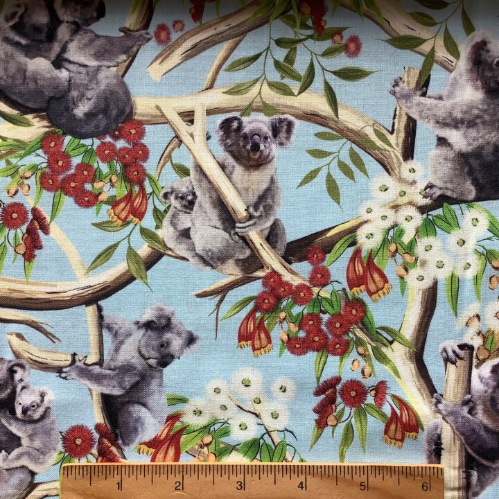 Koalas - 9107 C