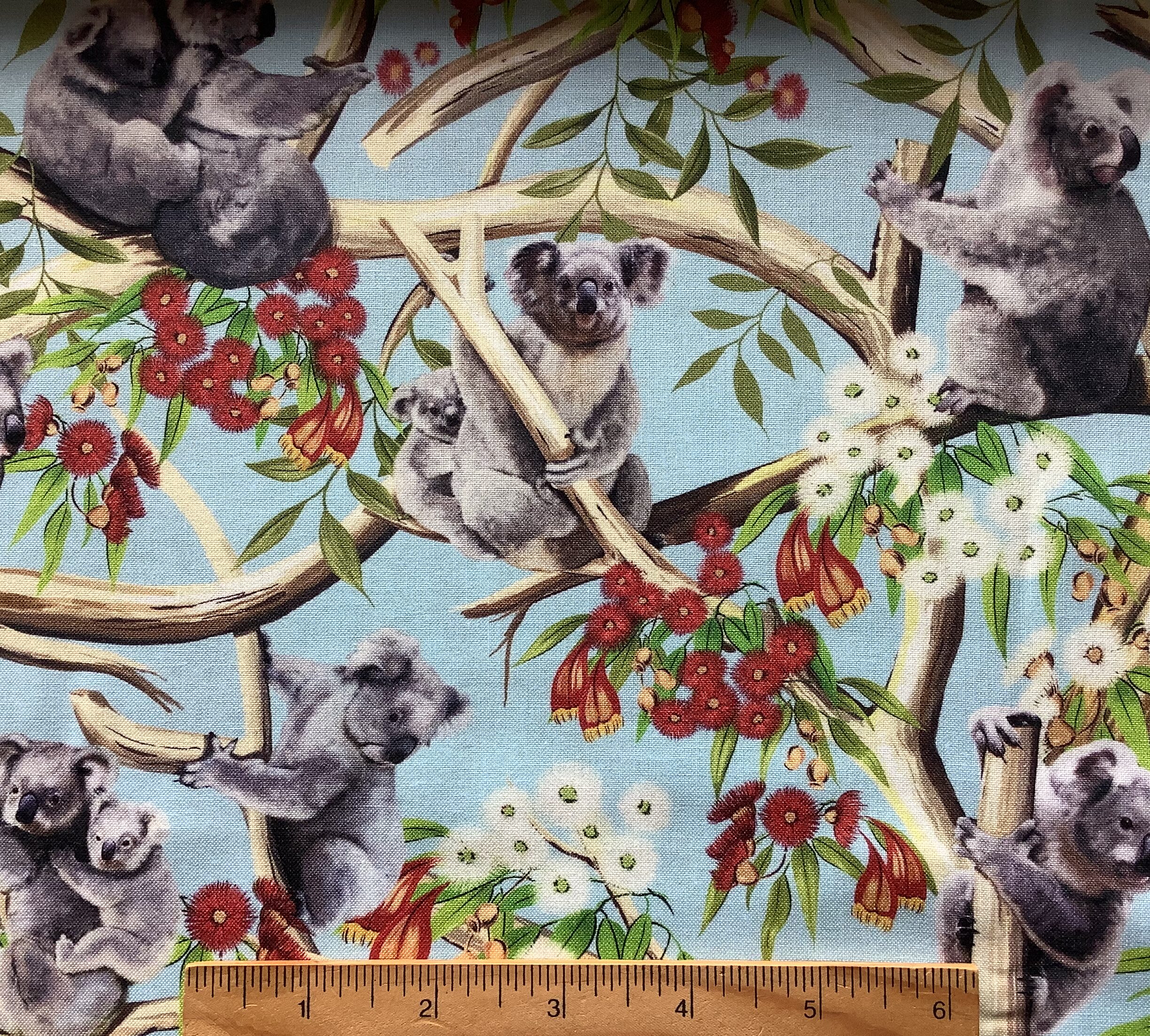 Koalas - 9107 C