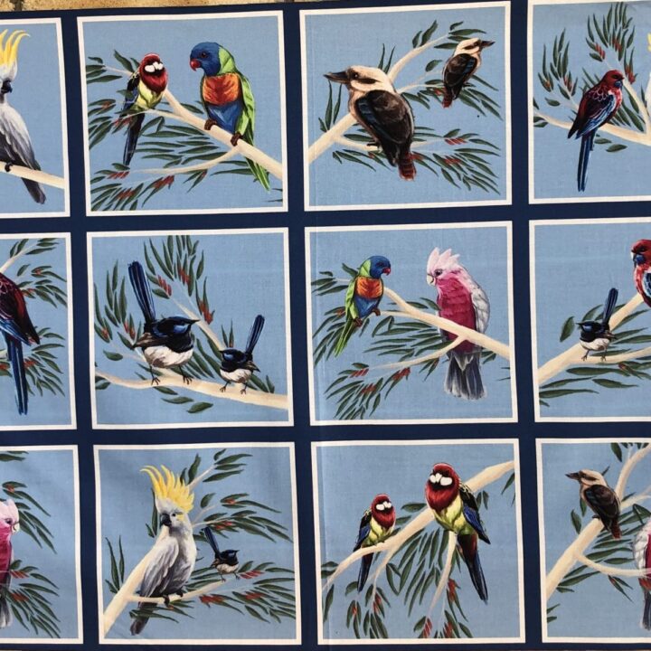 Birds of the Bush - Blue 0158A