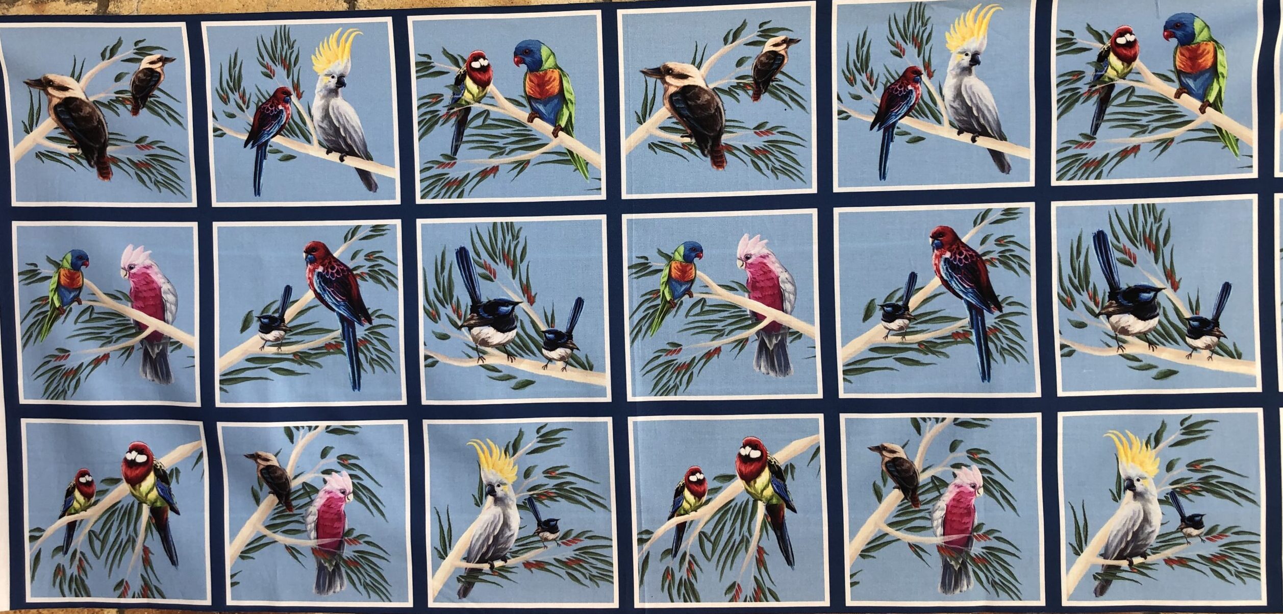 Birds of the Bush - Blue 0158A