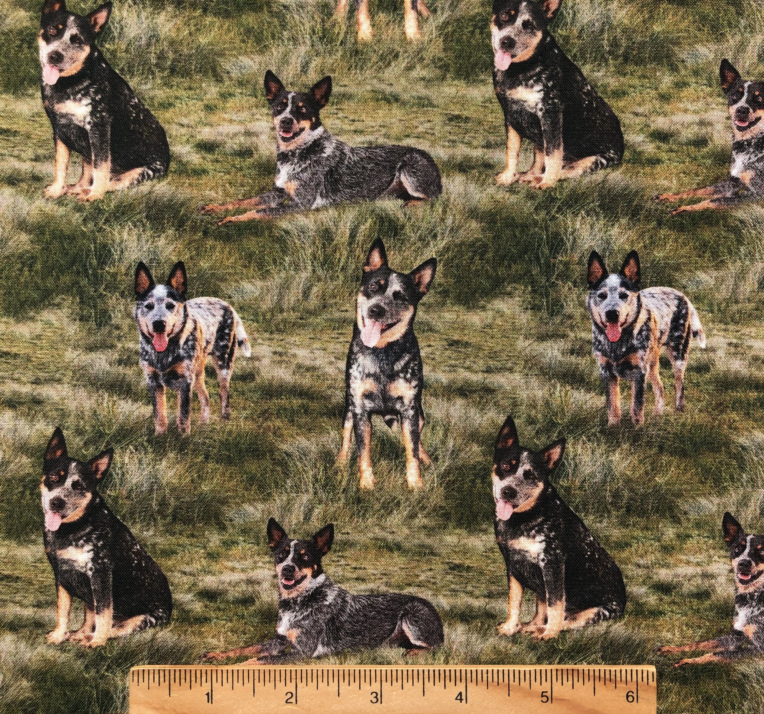 Merino Muster - Blue Heeler Dog on Grass