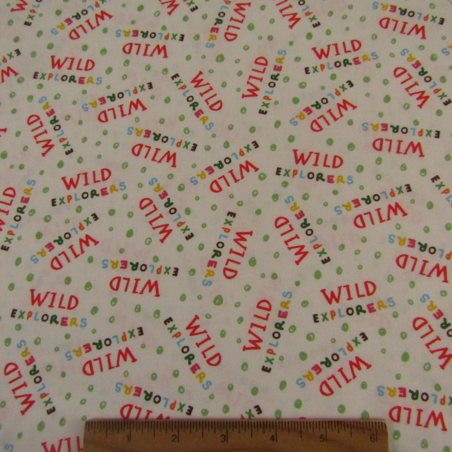 Jungle Explorers - Explorer Words White