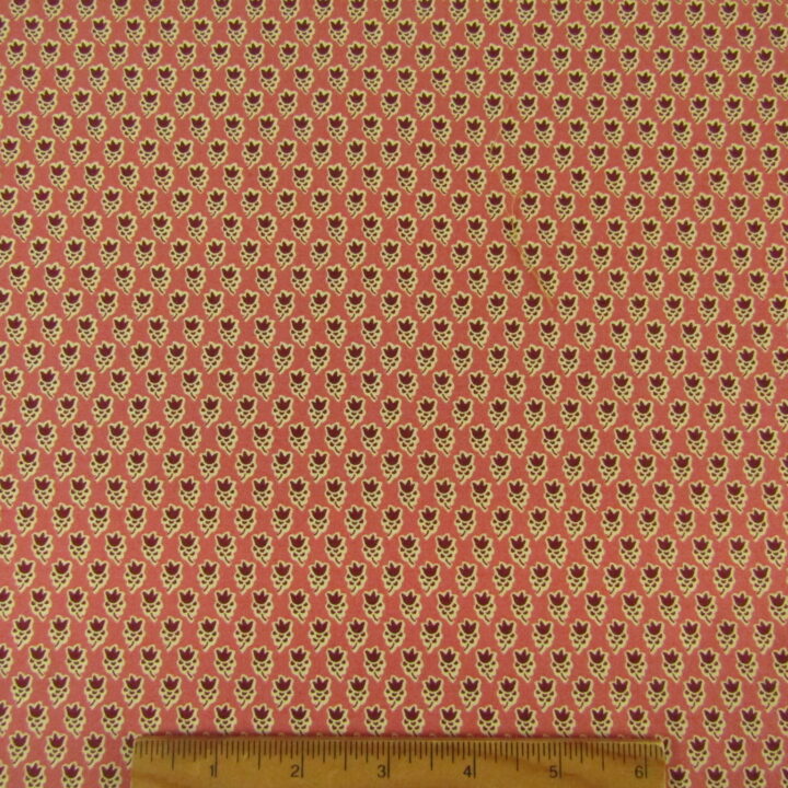Annes  English Scrapbox - Tulips Flame