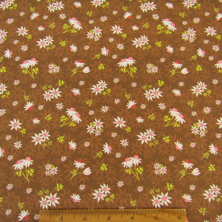 Roaming the Mallee - Plants and Flowers Brown