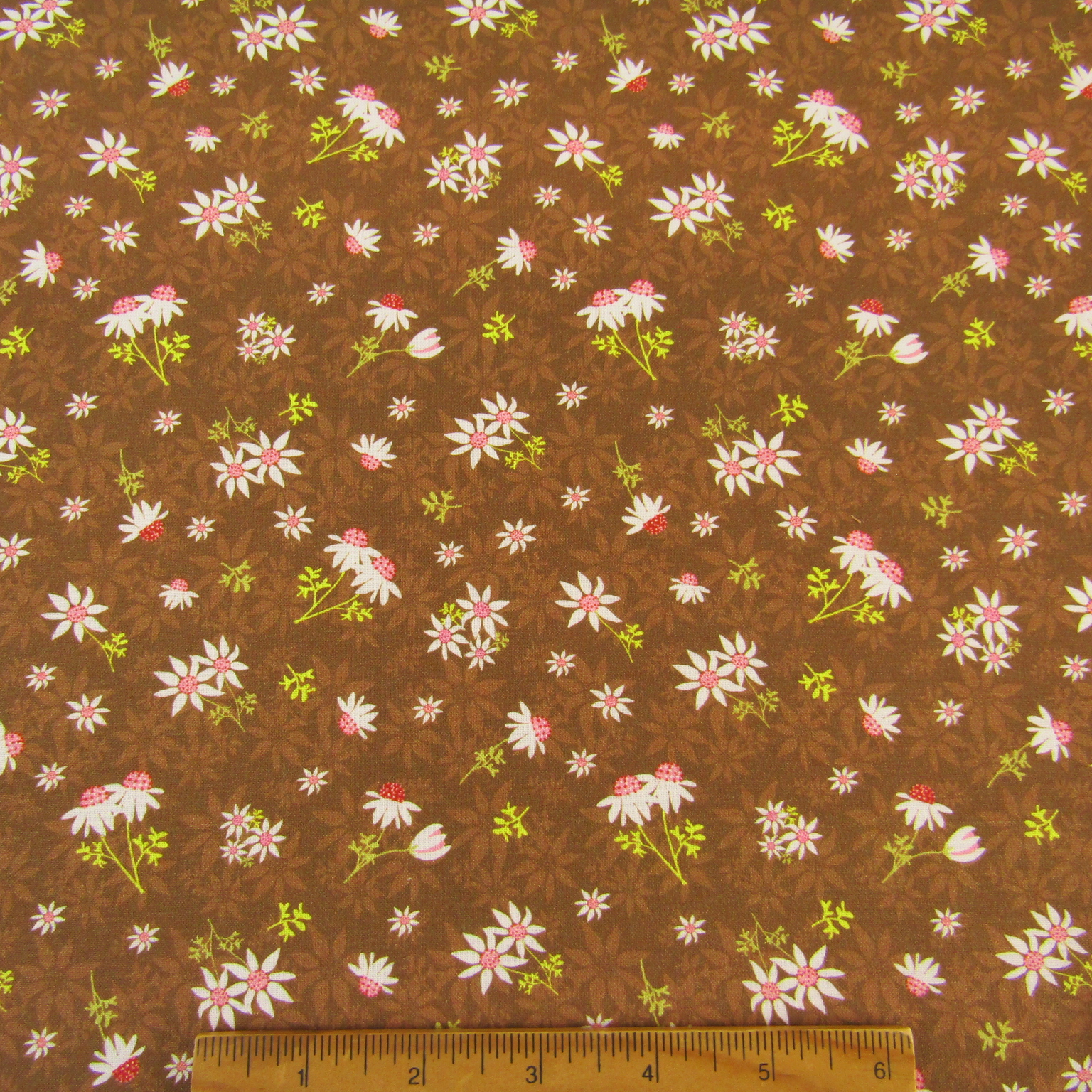 Roaming the Mallee - Plants and Flowers Brown