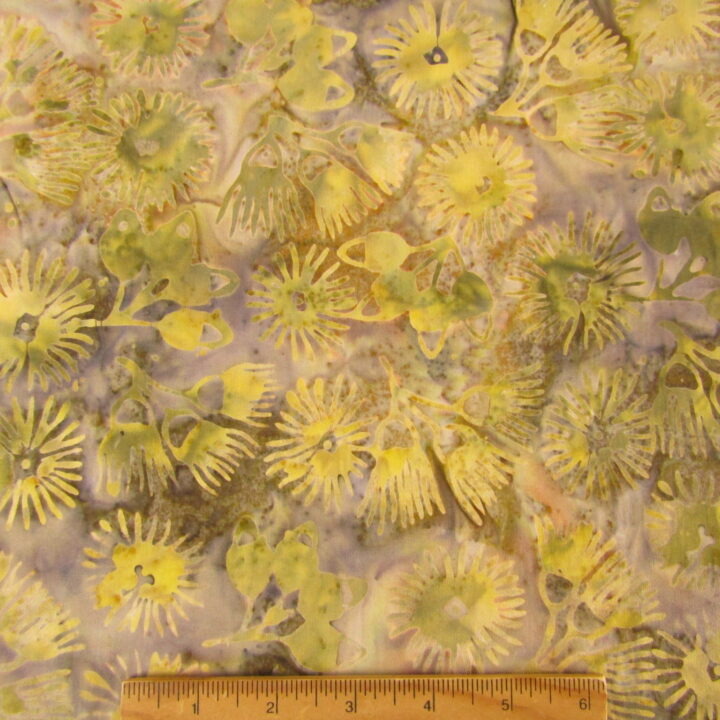 Australian Landscape - Medium Gum Tree Blooms