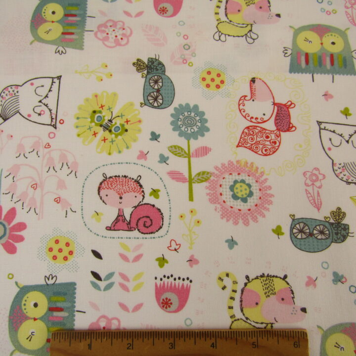Little Owl Collection