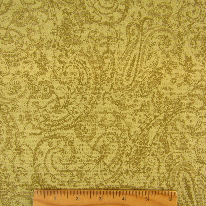 Delhi - Paisley Green