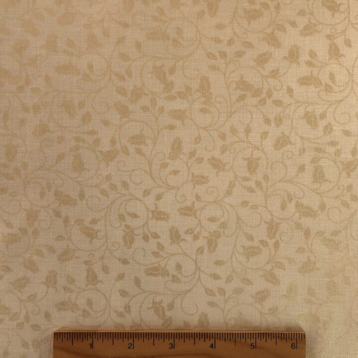 Festival of Roses - Cream