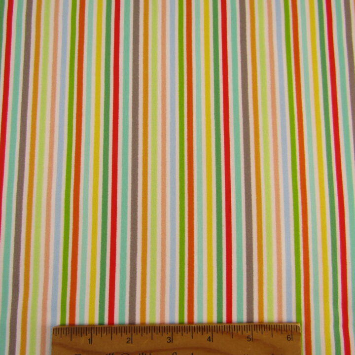 Jungle Explorers - Explorer Multi Stripe