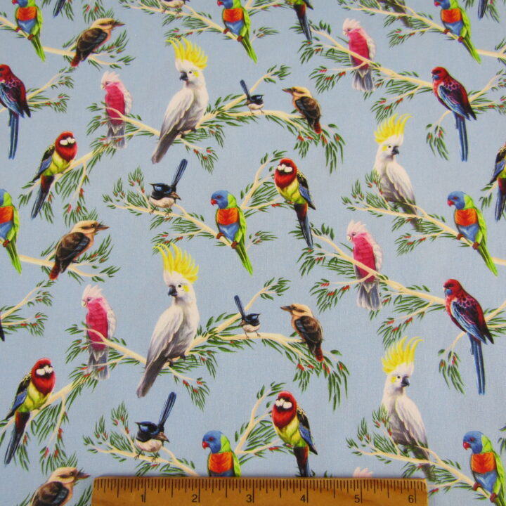 Birds of the Bush
