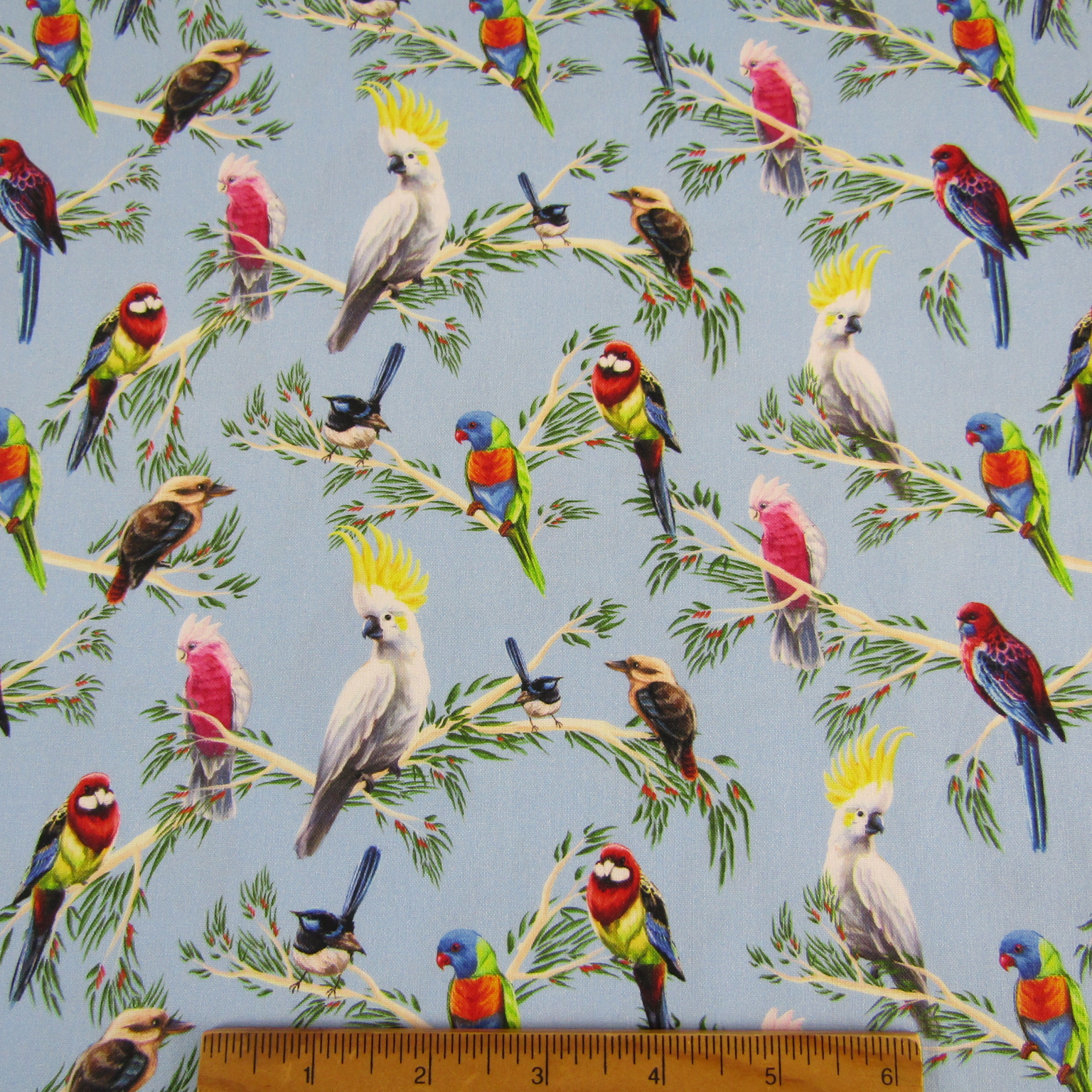 Birds of the Bush
